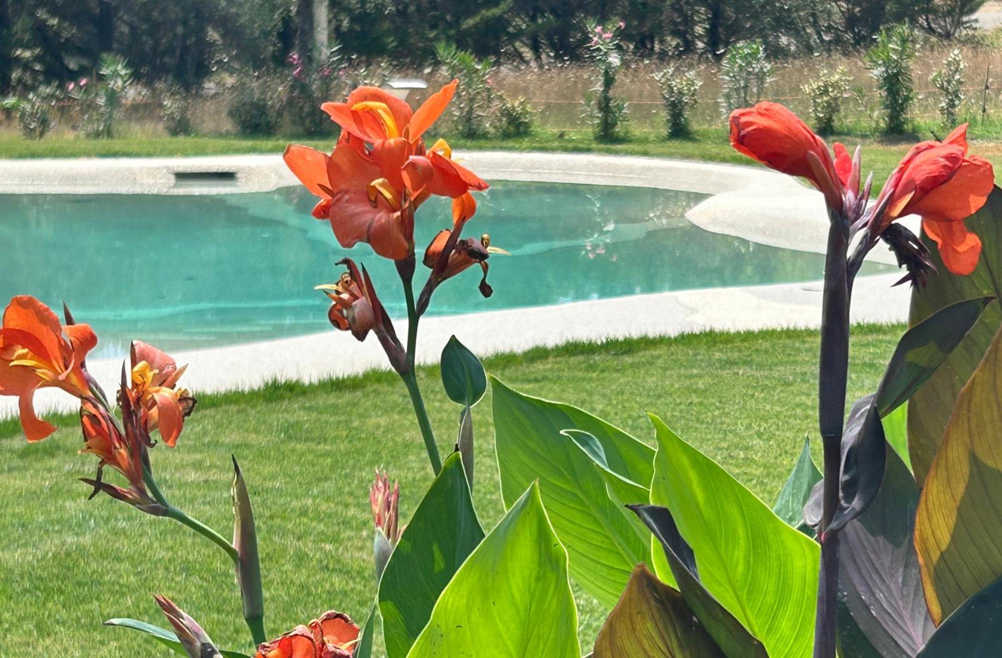 Agriturismo San Ansanino- Piscina Con Spiaggia-Aria Condizionata Pari Exterior foto